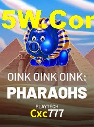 Experiência VIP Cxc777